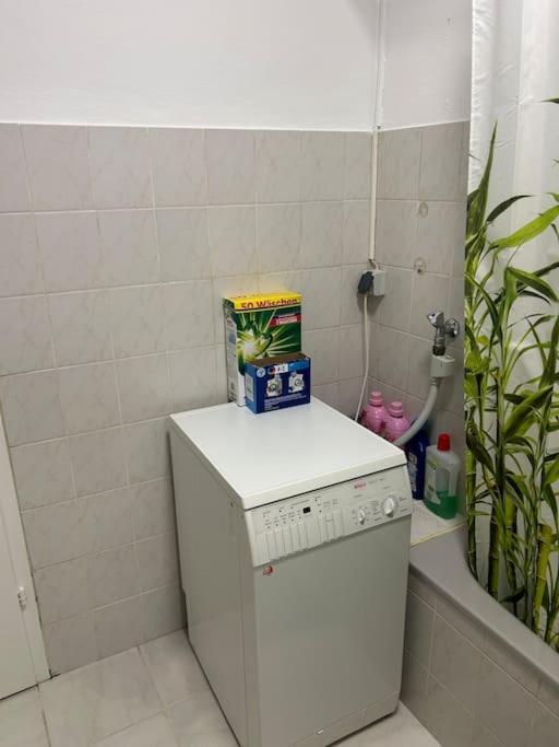 2 Zi Whng Stadtmitte Loerrach 外观 照片